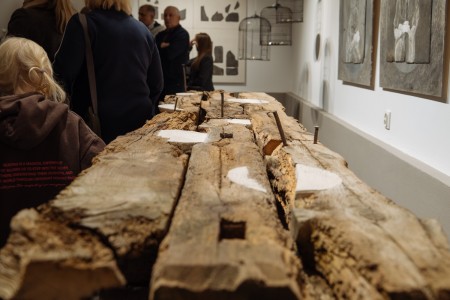 Kliknij, aby powiększyć zdjęcie.