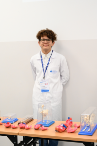 Kliknij, aby powiększyć zdjęcie.