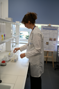 Kliknij, aby powiększyć zdjęcie.