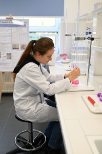 Kliknij, aby powiększyć zdjęcie.