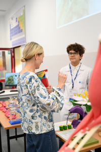 Kliknij, aby powiększyć zdjęcie.