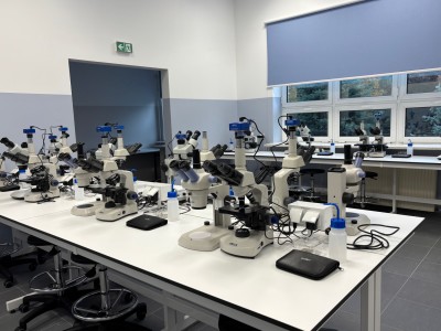 Click to zoom the picture.