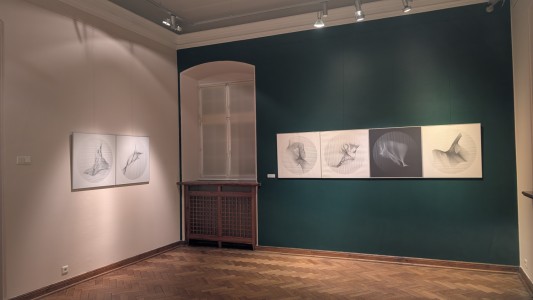 Click to zoom the picture.