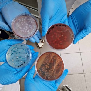 Nasze Badania [fot. Nadesłane]