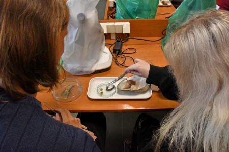 Zajęcia organizowane przez członków SKNB w ramach Dni Otwartych na WNBiW 