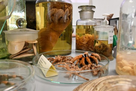 Zajęcia organizowane przez członków SKNB w ramach Dni Otwartych na WNBiW 