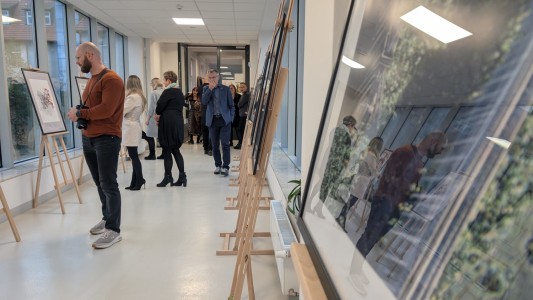 Click to zoom the picture.