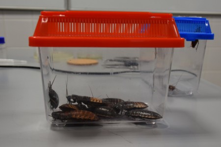 Dzień Otwarty WNBiW 2022 [fot. Joanna Czarnecka/Łukasz Czarnecki]