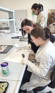 Click to zoom the picture.