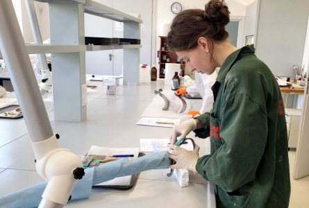 Click to zoom the picture.