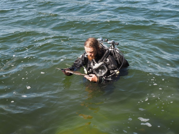 Click to zoom the picture.