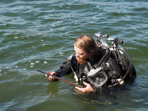 Click to zoom the picture.