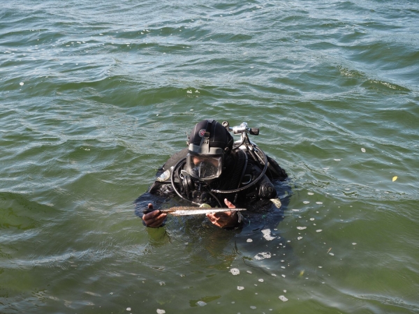 Click to zoom the picture.