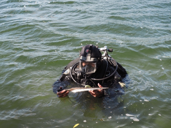 Click to zoom the picture.