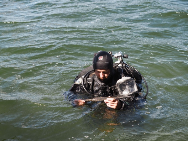 Click to zoom the picture.