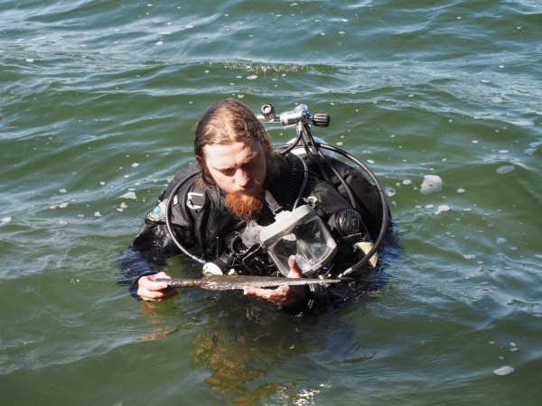 Click to zoom the picture.