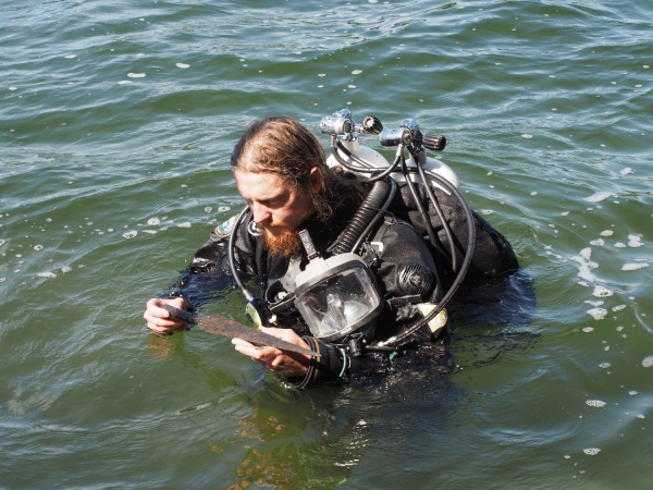 Click to zoom the picture.