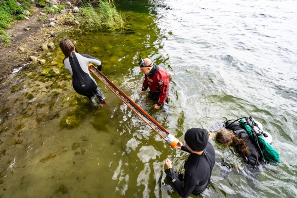 Click to zoom the picture.