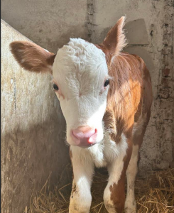 Wyjazdy w teren [fot. Nadesłane]