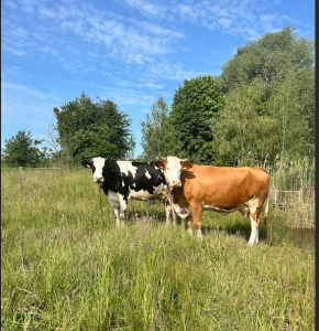 Wyjazdy w teren [fot. Nadesłane]