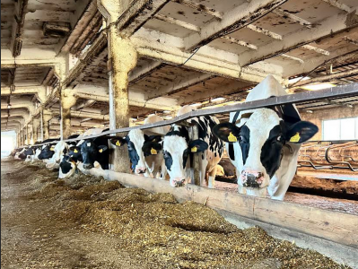 Wyjazdy w teren [fot. Nadesłane]