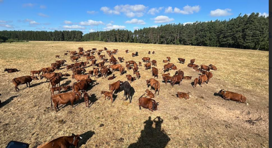 Wyjazdy w teren [fot. Nadesłane]