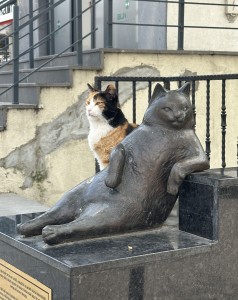 Studenci kierunku Farmacja w międzynarodowym wydaniu – semestr Erasmus+ w Stambule. Kliknij, aby powiększyć zdjęcie.