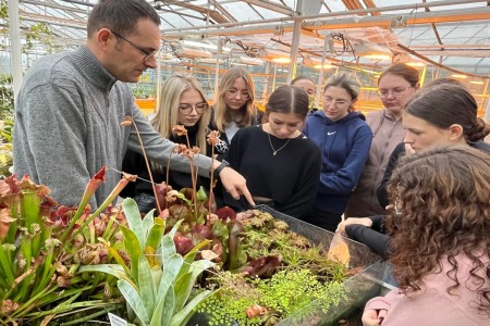 Click to zoom the picture.