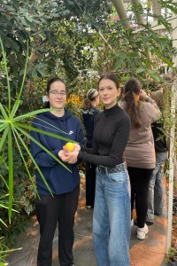 Click to zoom the picture.