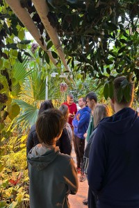 Click to zoom the picture.