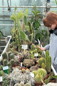 Click to zoom the picture.