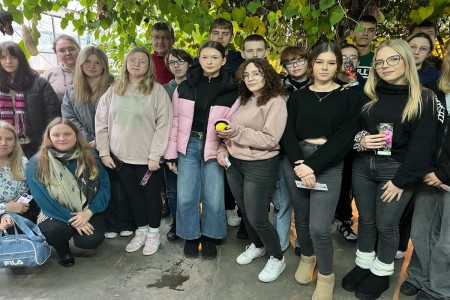 Click to zoom the picture.