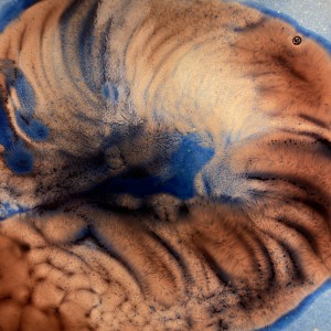 Click to zoom the picture.