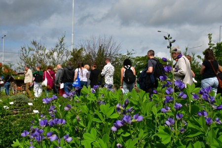 Kliknij, aby powiększyć zdjęcie.