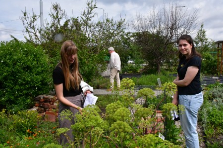 Kliknij, aby powiększyć zdjęcie.