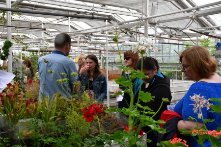 Kliknij, aby powiększyć zdjęcie.