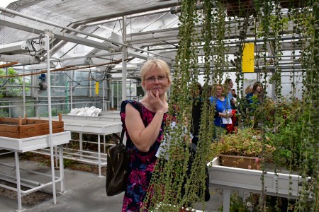 Kliknij, aby powiększyć zdjęcie.