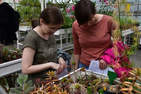 Kliknij, aby powiększyć zdjęcie.