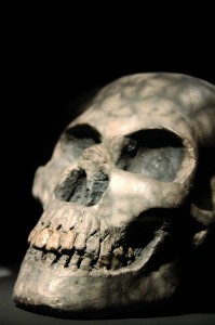 Click to zoom the picture.