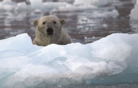 Click to zoom the picture.