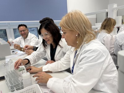 Kliknij, aby powiększyć zdjęcie.