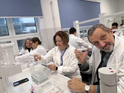 Kliknij, aby powiększyć zdjęcie.