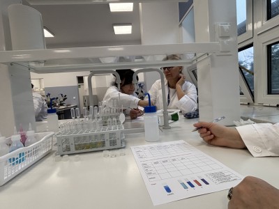 Kliknij, aby powiększyć zdjęcie.