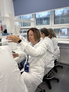 Kliknij, aby powiększyć zdjęcie.