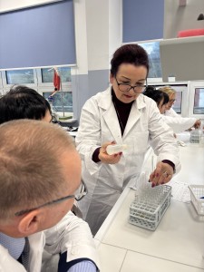 Kliknij, aby powiększyć zdjęcie.