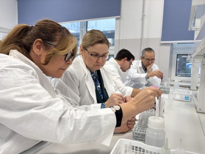 Kliknij, aby powiększyć zdjęcie.