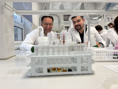 Kliknij, aby powiększyć zdjęcie.