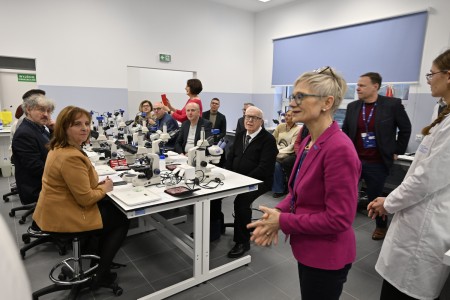 Kliknij, aby powiększyć zdjęcie.