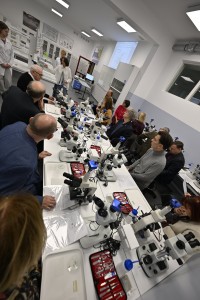 Kliknij, aby powiększyć zdjęcie.