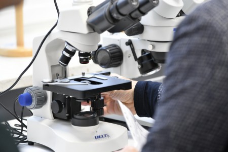 Kliknij, aby powiększyć zdjęcie.